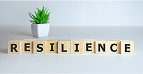 Resilience and the Work-Life Balance an XcelMil Training Course